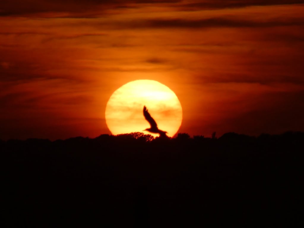 Chasing the Sun A4 Photograph