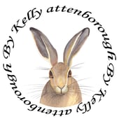 By Kelly Attenborough