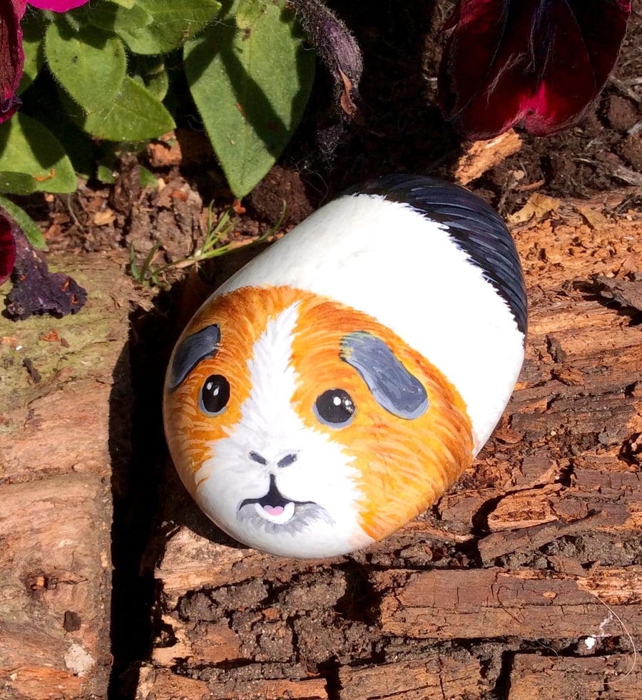 Guinea pig painted on beach pebble 