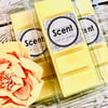 Lemon Sherbet Snap Bar Wax Melts