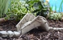 Fairy Garden & Hedgehog House
