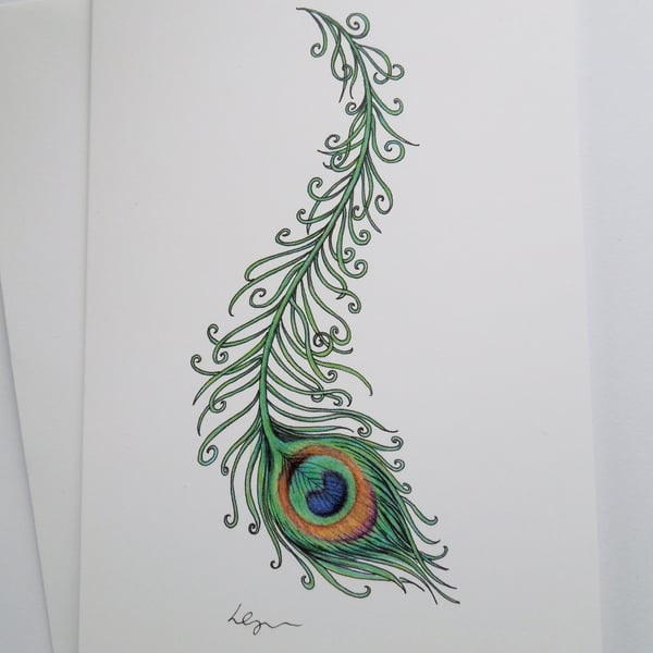 Peacock Feather greeting card with envelope