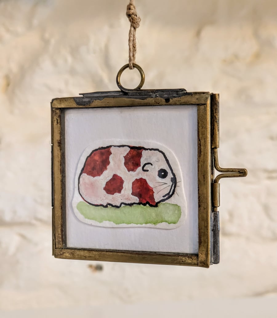 Guinea Pig - original miniature painting