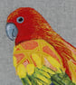 Fine Art Card Parrot