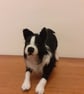 Border Collie - Image 3