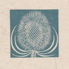 Teasel seed head mini linocut print