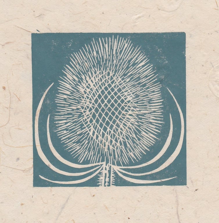 Teasel seed head mini linocut print