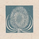 Teasel seed head mini linocut print