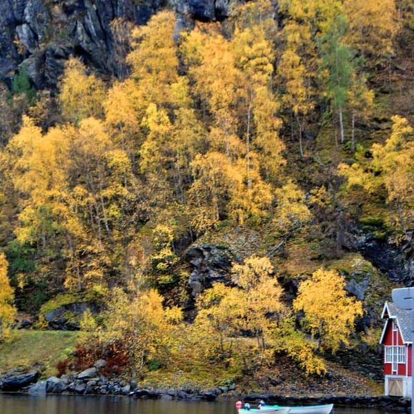 Flam Aurlandsfjord Norway Scandinavia 12"x18" Print