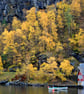 Flam Aurlandsfjord Norway Scandinavia 12"x18" Print - Image 1