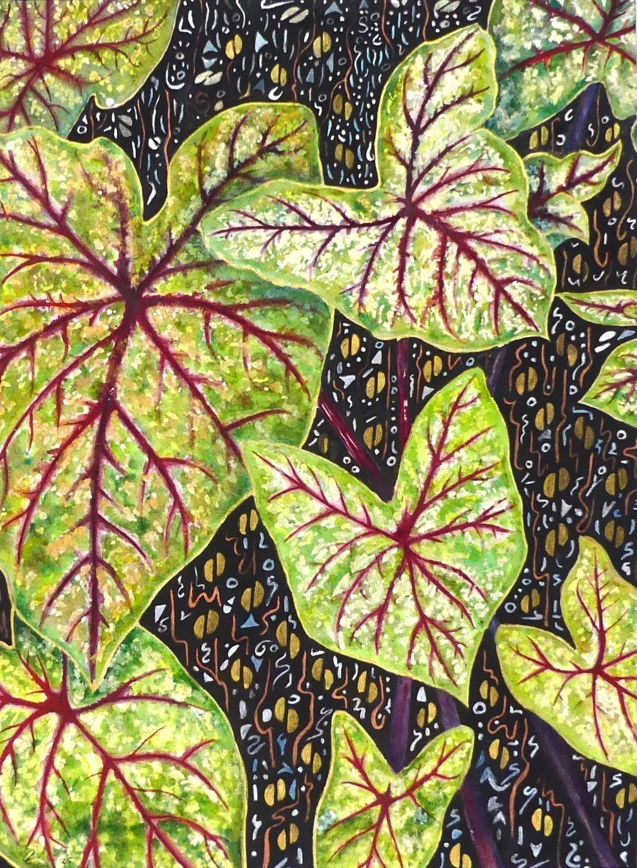 Red Caladium Leaves Tropical Plant Botanical Watercolour Original Painting