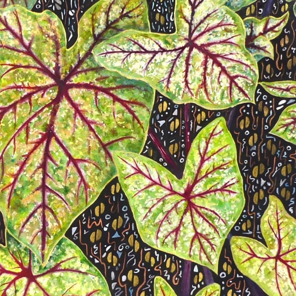 Red Caladium Leaves Tropical Plant Botanical Watercolour Original Painting