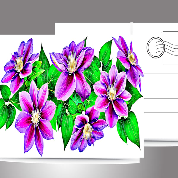 Clematis Postcards. Set of FiveStunning Colours