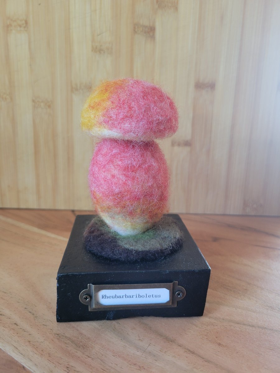 Rhubarb bolete mushroom (rheubarbariboletus)
