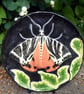 Tiger Moth Ceramic Plate - Hand Sculpted - by Jacqueline Talbot Designs - Image 5