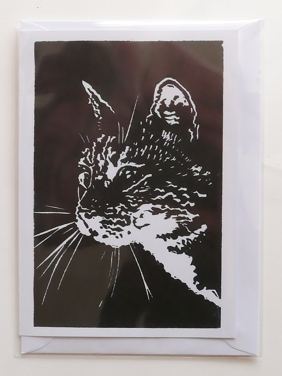 Cat (Oscar) Card
