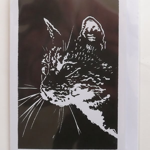 Cat (Oscar) Card