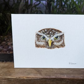 Little Owl Portrait Painting 