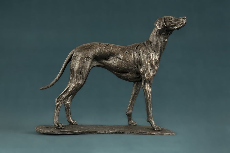 Standing Vizsla Dog Statue Small Bronze Resin Sculpture