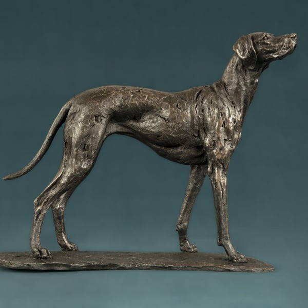 Standing Vizsla Dog Statue Small Bronze Resin Sculpture