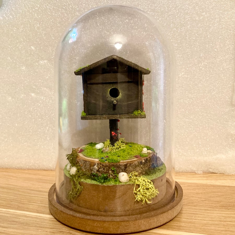 Bird house diorama in a dome