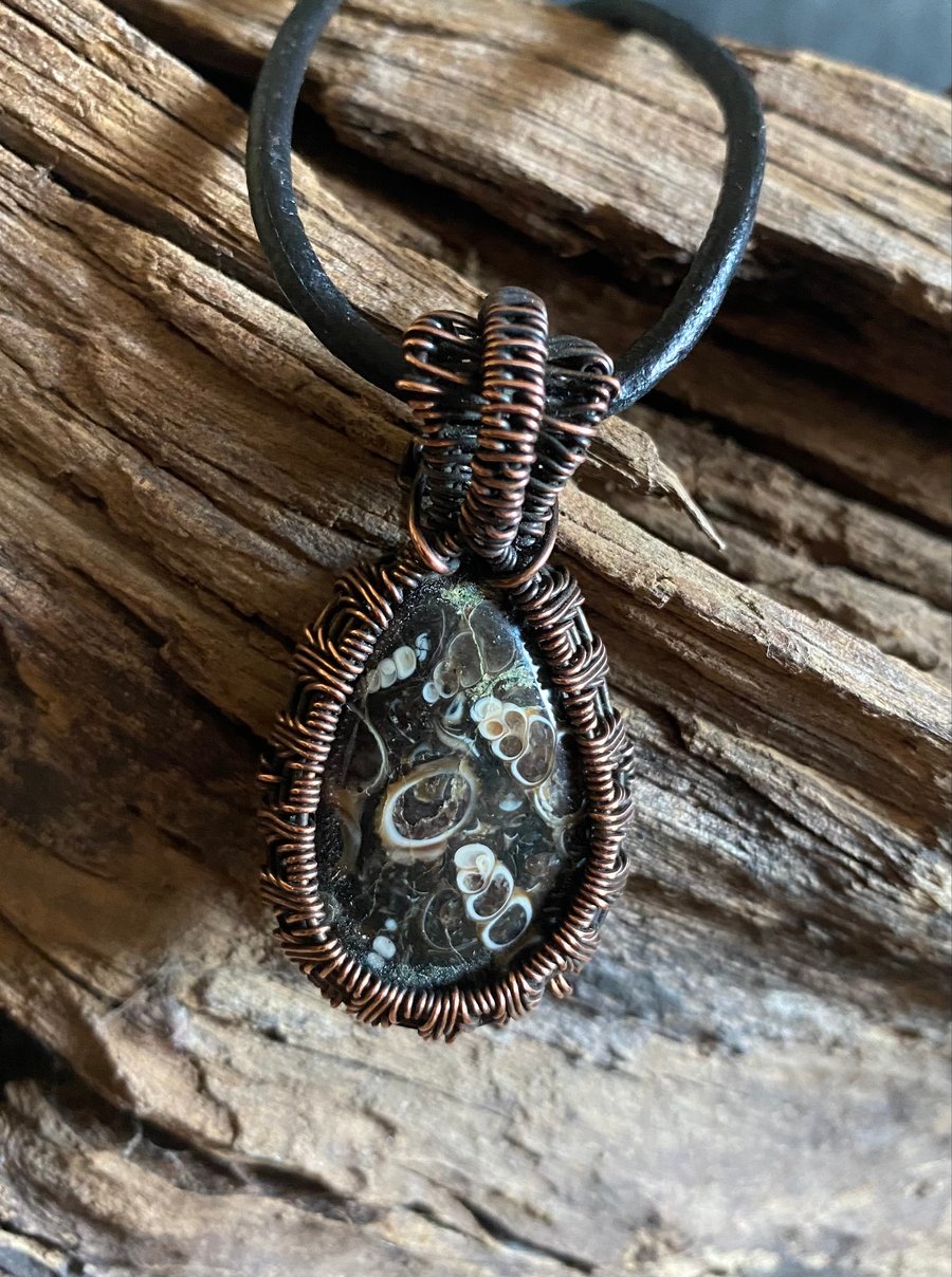 Wire wrapped Turritella fossil Agate pendant. 