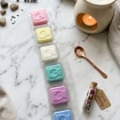 Wax Melts In single oil Burner Clam Shells,  