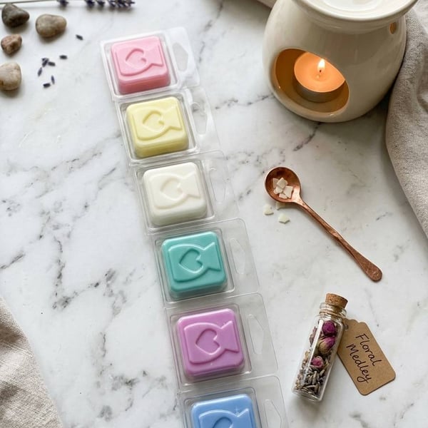 Wax Melts In single oil Burner Clam Shells,  