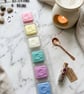 Wax Melts In single oil Burner Clam Shells,  