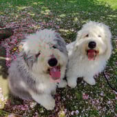 Barney & Hobbs