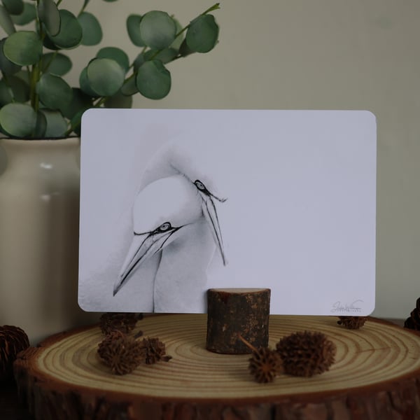 Gannets in Love - Bird Postcard