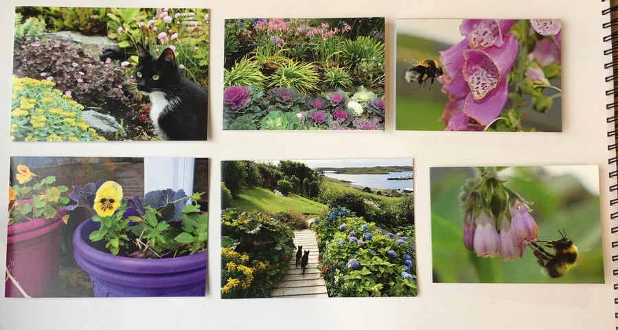 My Shetland garden printed cards, pack of 6.