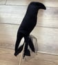 Crow Poke