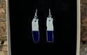 Blue & White Earrings