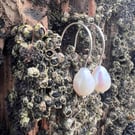   Large Freshwater Pearl Earrings