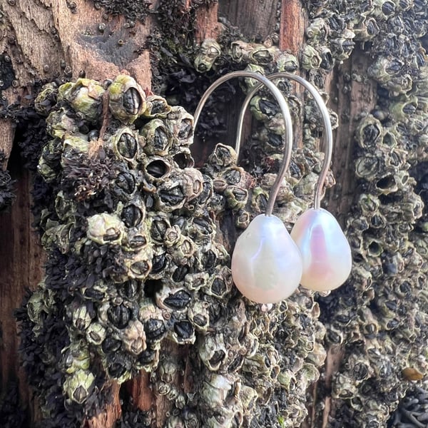   Large Freshwater Pearl Earrings