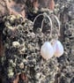   Large Freshwater Pearl Earrings