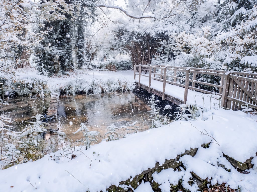 Water Gardens Winter Norfolk Christmas Greeting Card A5