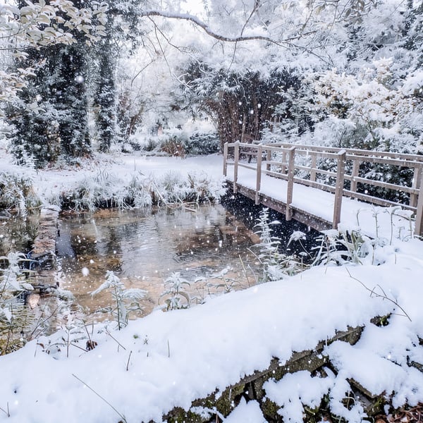 Water Gardens Winter Norfolk Christmas Greeting Card A5