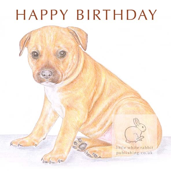 Cookie the Staffy - Birthday Card