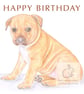 Cookie the Staffy - Birthday Card - Image 1