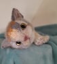 Grey Calico Cat, dotpebblesknits Design - Image 7