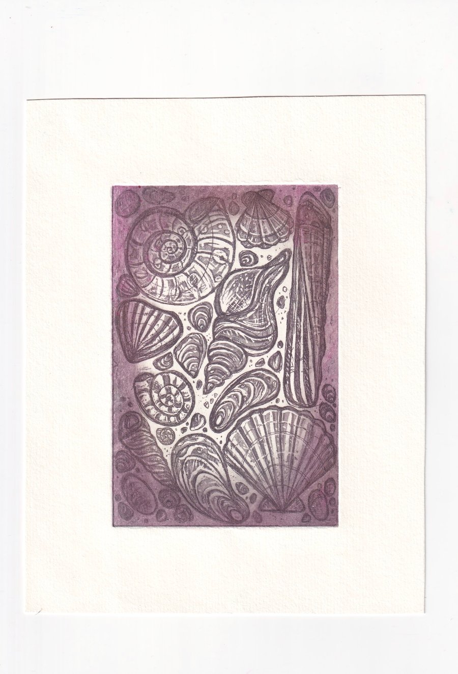 Seashell Print- Coastal Aquatint Etching 