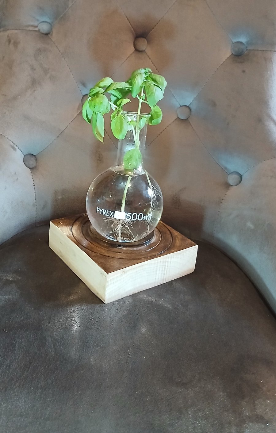 Science decanter, vase,