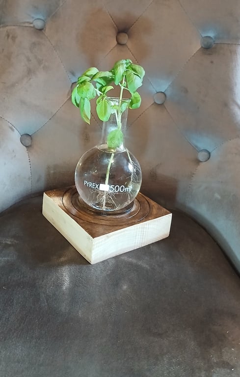Science decanter, vase,
