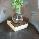 Science decanter, vase,