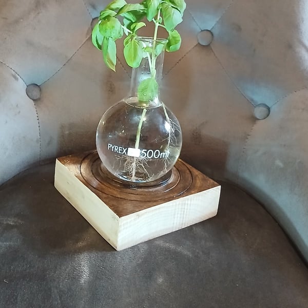 Science decanter, vase,