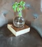 Science decanter, vase,