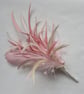 Pale Vintage Rose Pink & Ivory Crystal Regency Feather Sprig Headpiece Pin