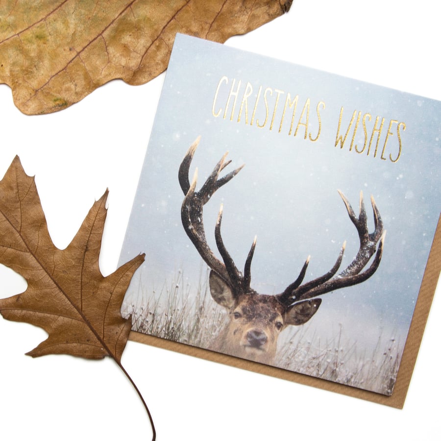 Christmas card with gold foil lettering - winter deer in Richmond Park